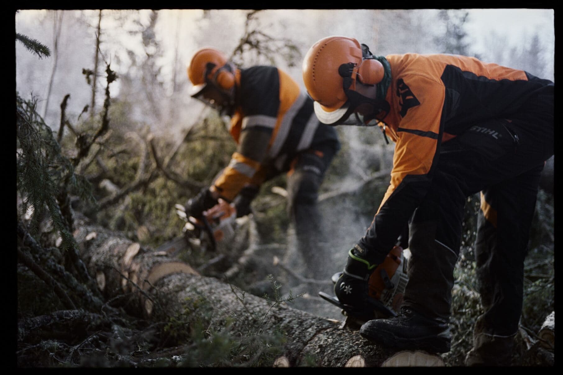 Two people chopping a tree.